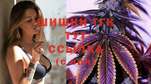эйфоретик Аркадак