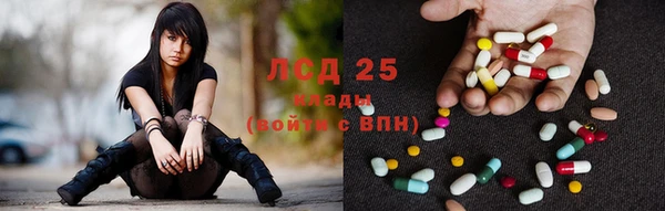 эйфоретик Аркадак