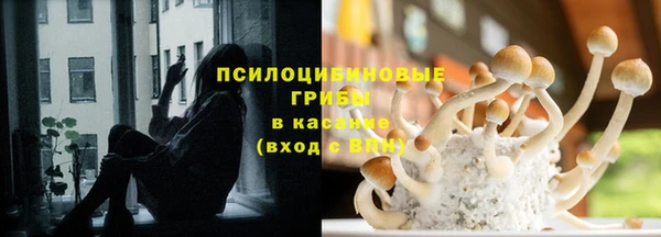 прущий лед Алзамай
