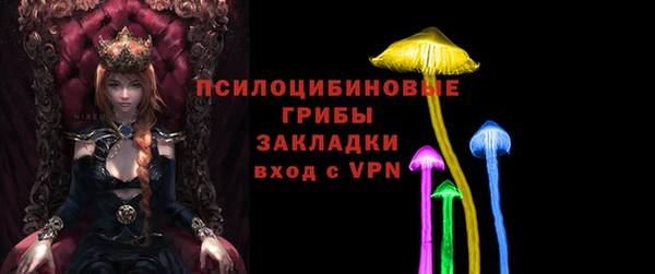 эйфоретик Аркадак