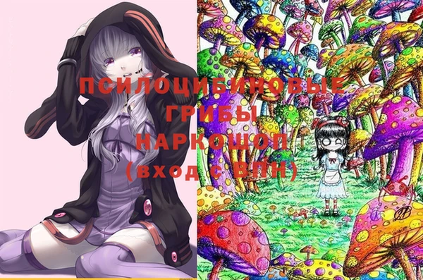 эйфоретик Аркадак