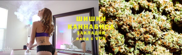 прущая мука Арсеньев