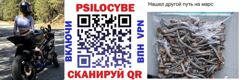 купить закладку  Бакал  Псилоцибиновые грибы мухоморы 